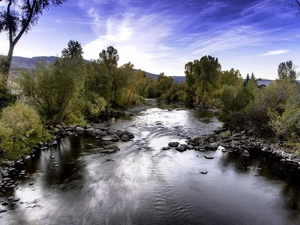 A river with trees in the background and clouds above.