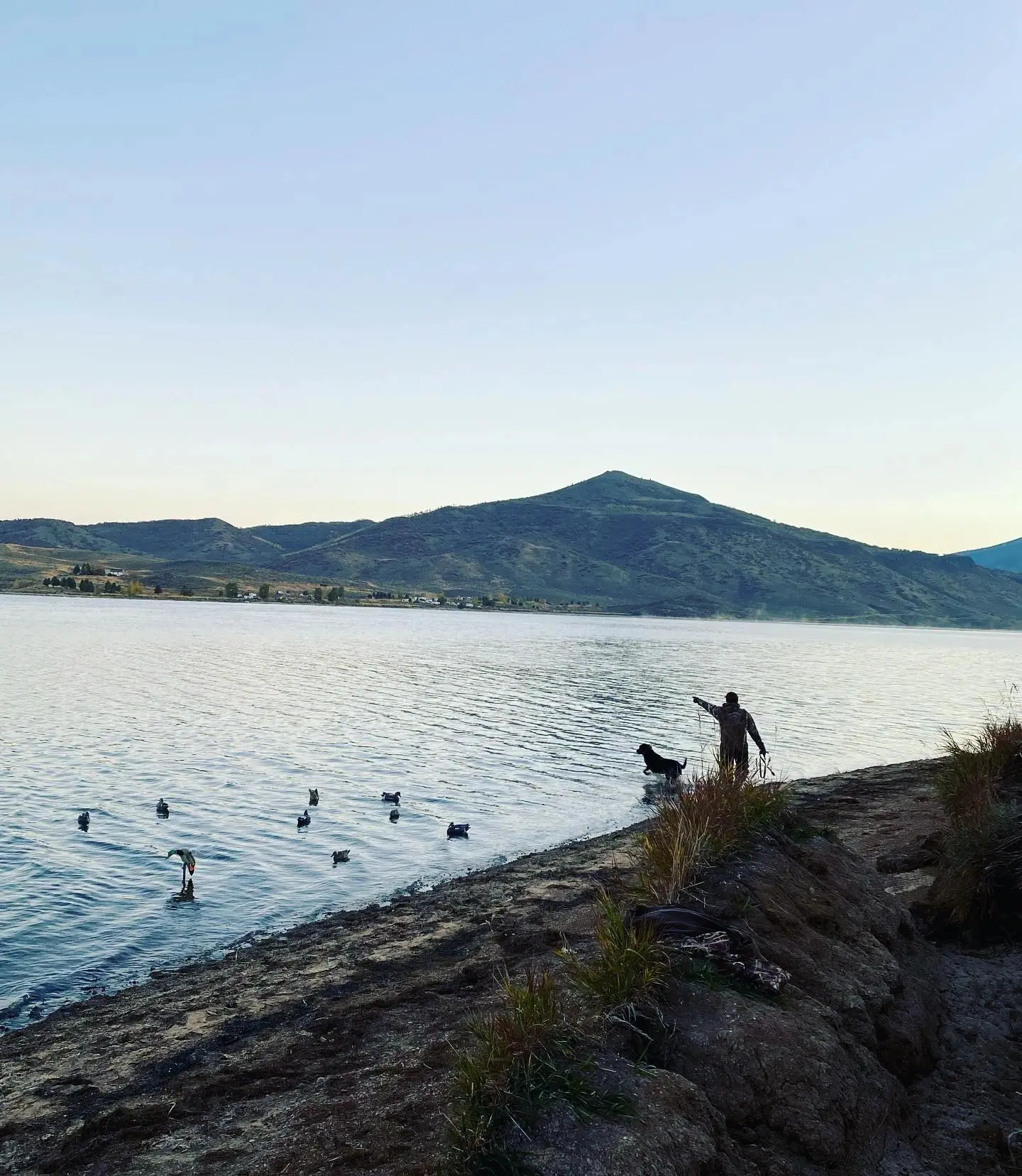 A man and his dog are standing on the shore of a lake.