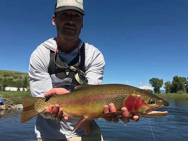 A man holding a rainbow trout on the river.