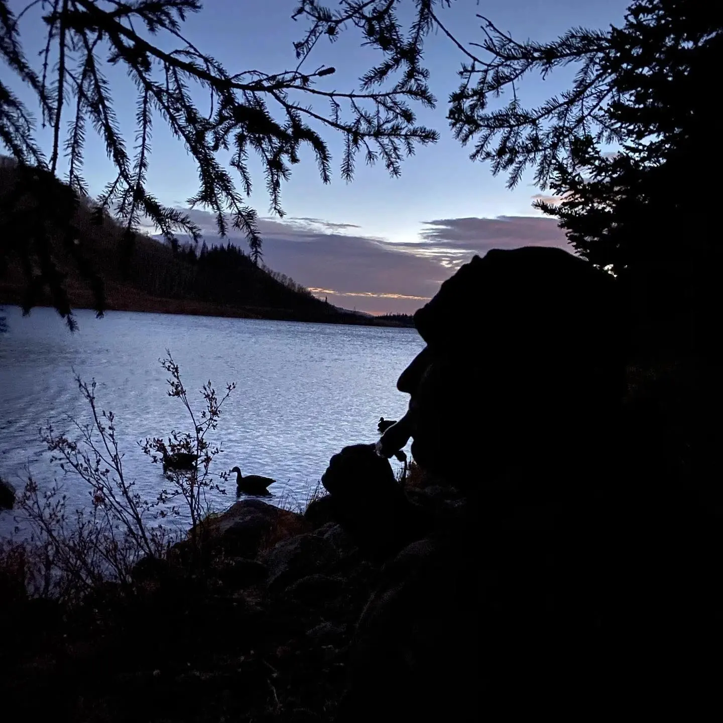 A person sitting on the shore of a lake.