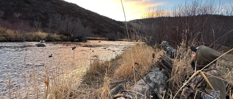 A river with rocks and grass on the side.