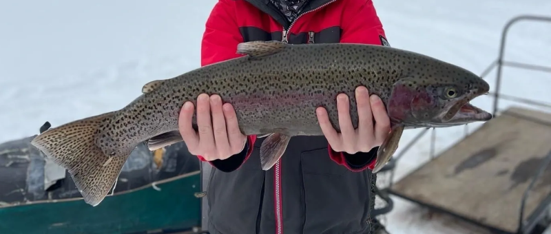 A person holding a large fish in their hands.