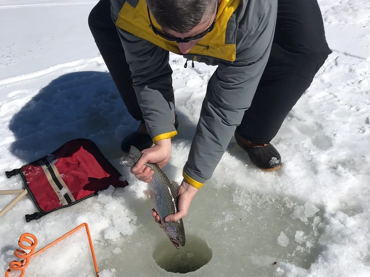 A man in yellow jacket holding fish in ice.