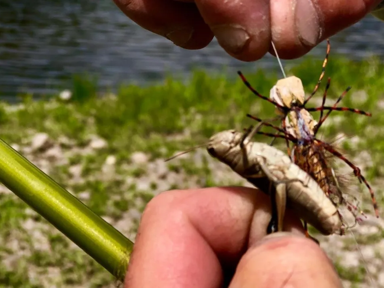 A person holding a fishing hook and a stick.