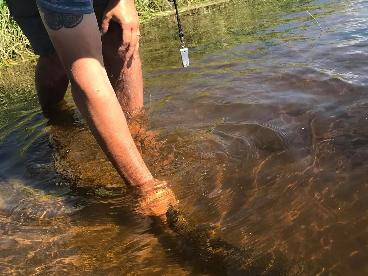 A person wading in shallow water with their feet up.