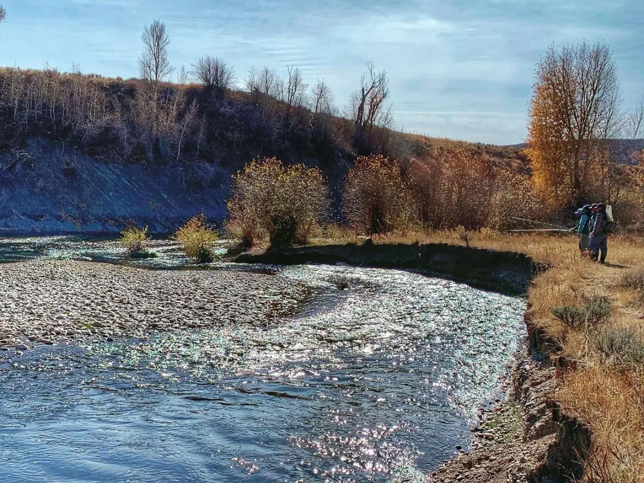 A river running through the middle of a field.