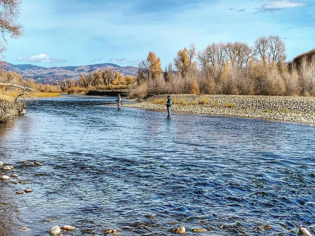 Two people fishing in a river with trees