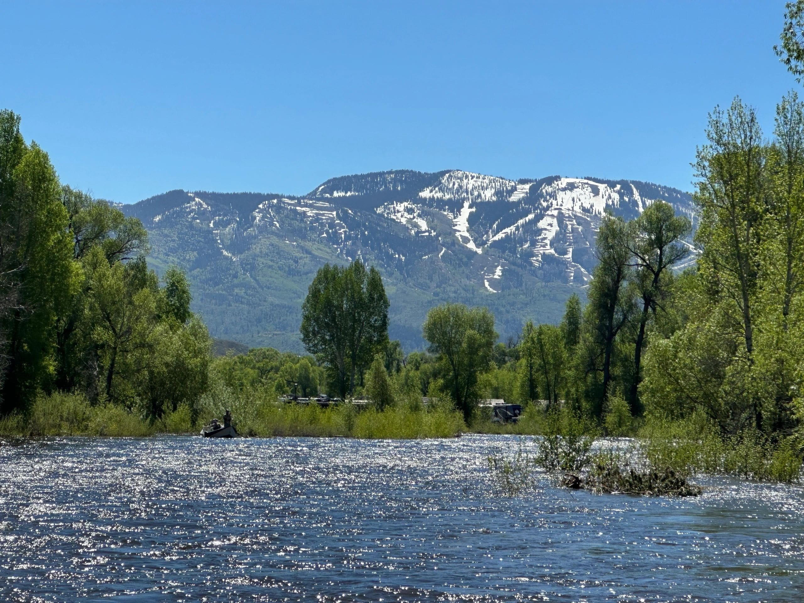 A river with trees and mountains in the background