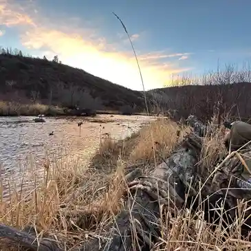 A river with grass and rocks on the side.