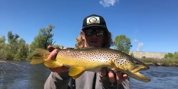 A man holding a brown fish in his hands.