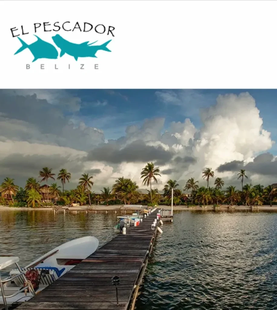 A dock with boats in the water and palm trees.