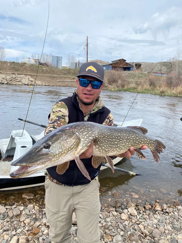 A man holding a large fish in his hands.