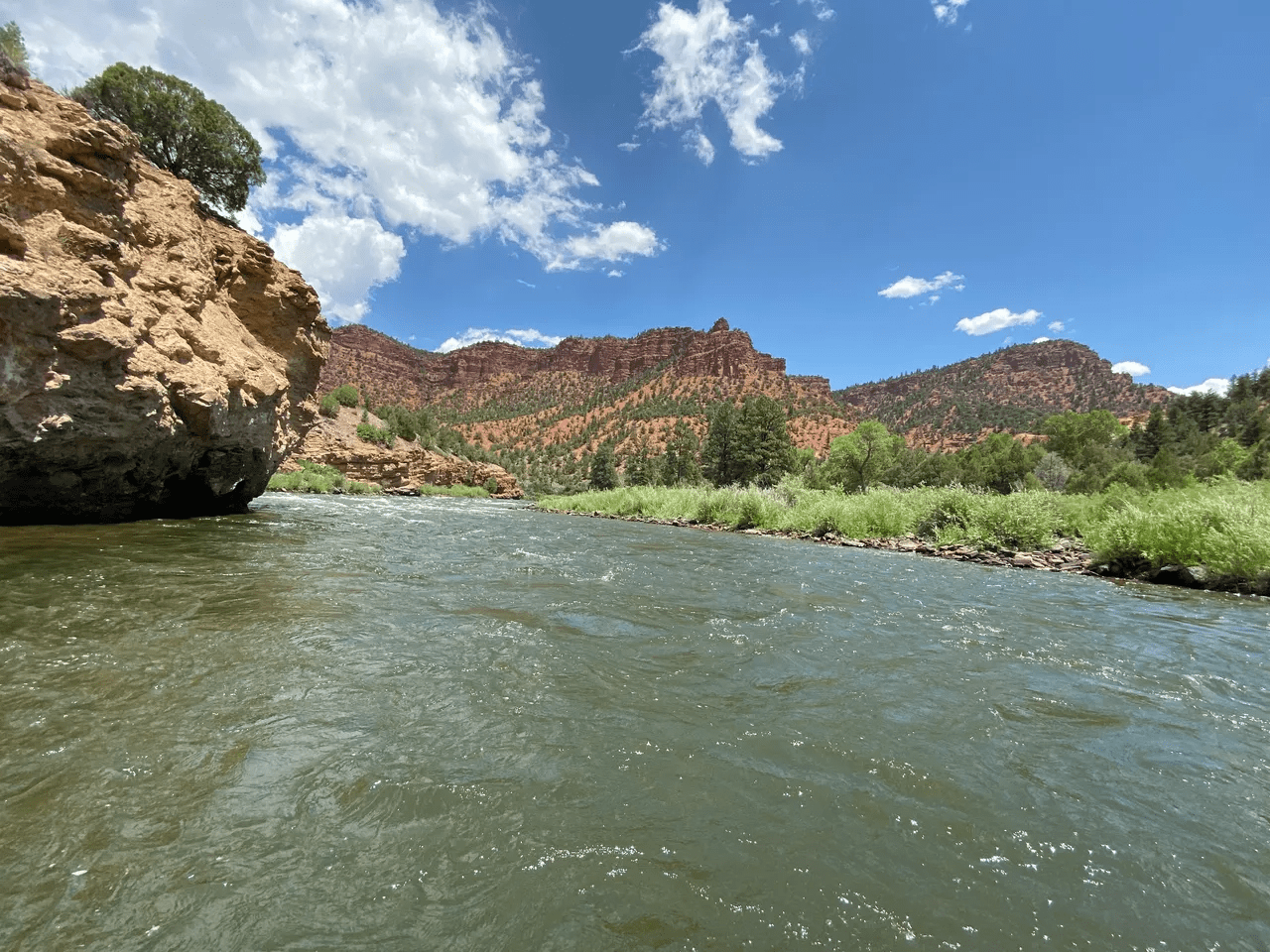 A river with green water and mountains in the background.