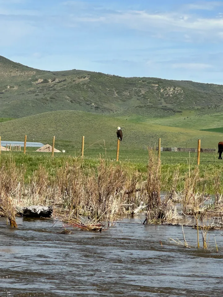 A man standing in the grass near some water.