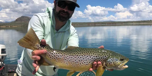 A man holding a brown fish while standing on top of a boat.