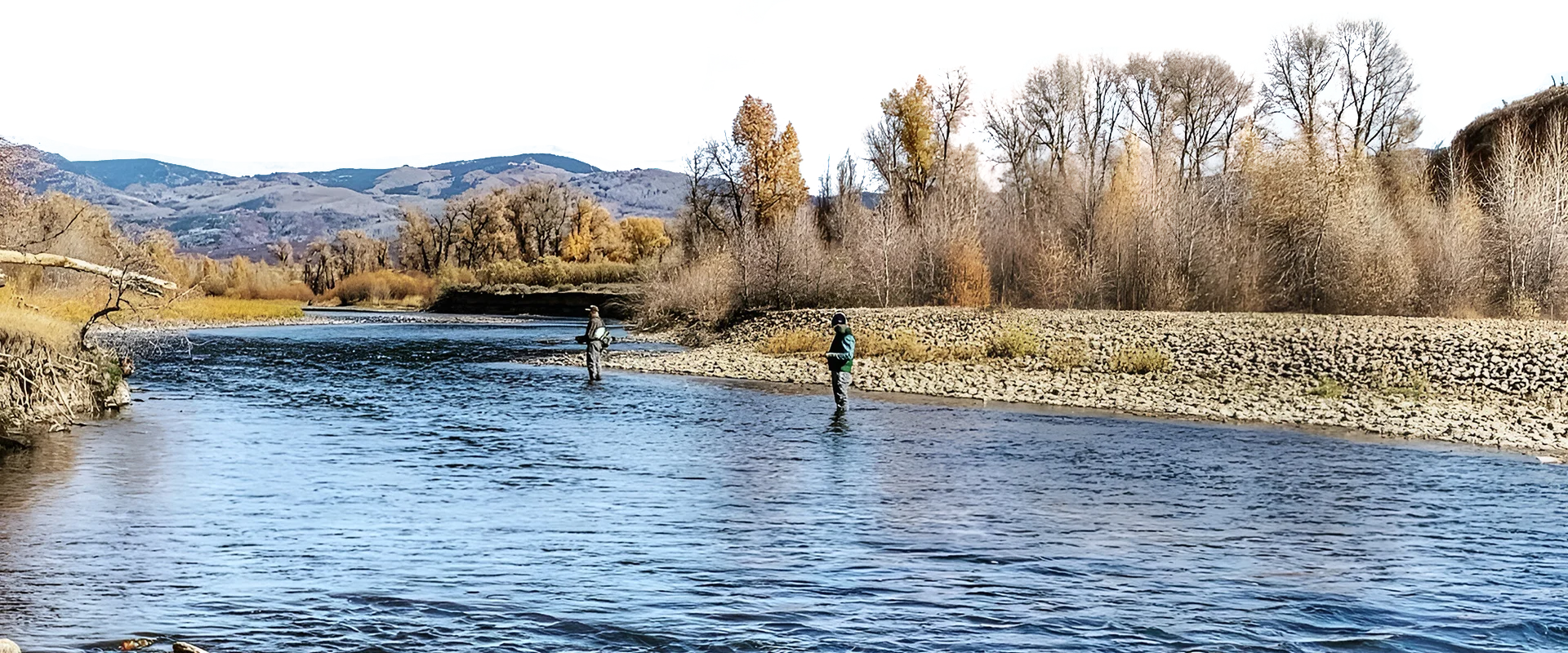 Two people fishing in a river with trees