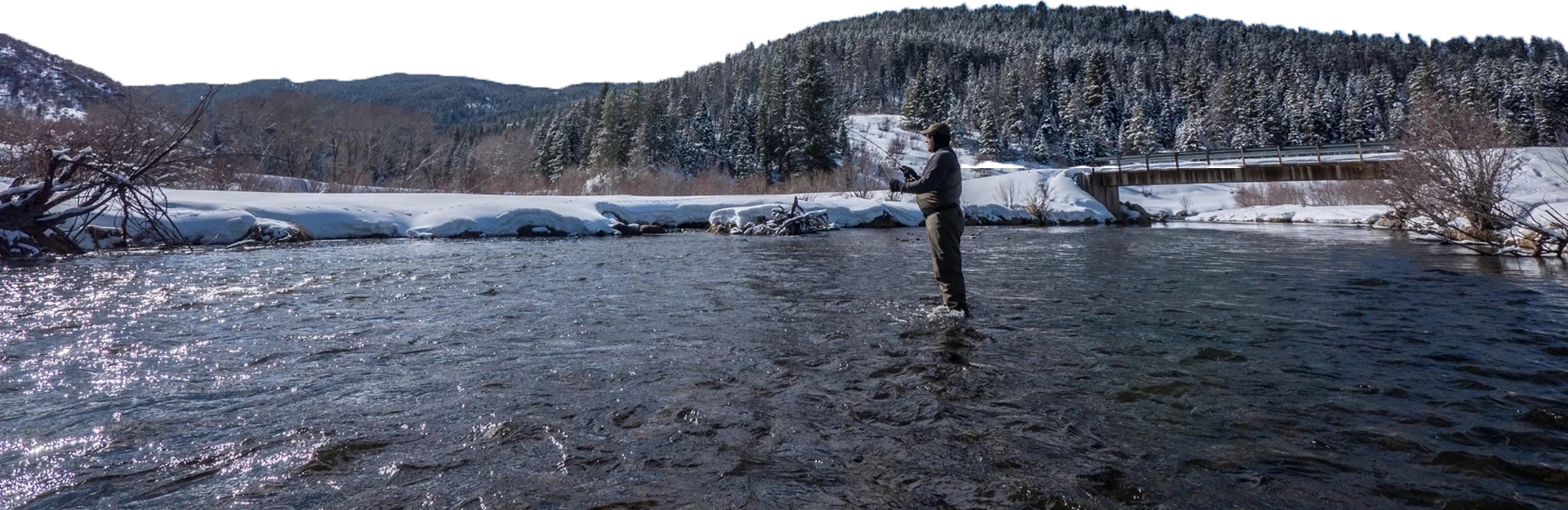 A man standing in the water holding onto a fish.