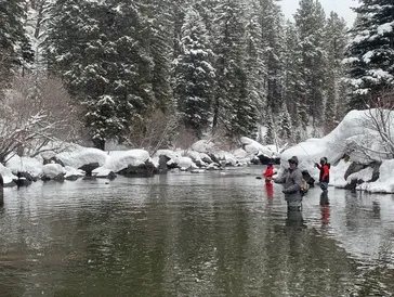 A group of people standing in the water.